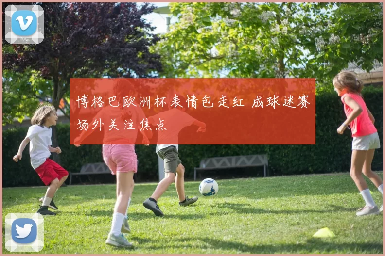 博格巴欧洲杯表情包走红 成球迷赛场外关注焦点
