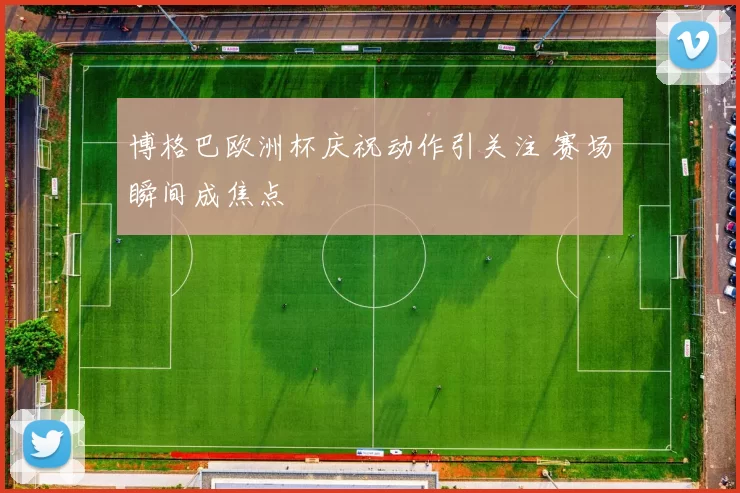 博格巴欧洲杯庆祝动作引关注 赛场瞬间成焦点