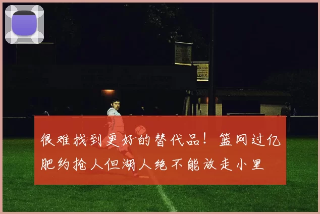 很难找到更好的替代品！篮网过亿肥约抢人但湖人绝不能放走小里