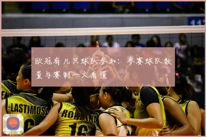 欧冠有几只球队参加:参赛球队数量与赛制一文看懂