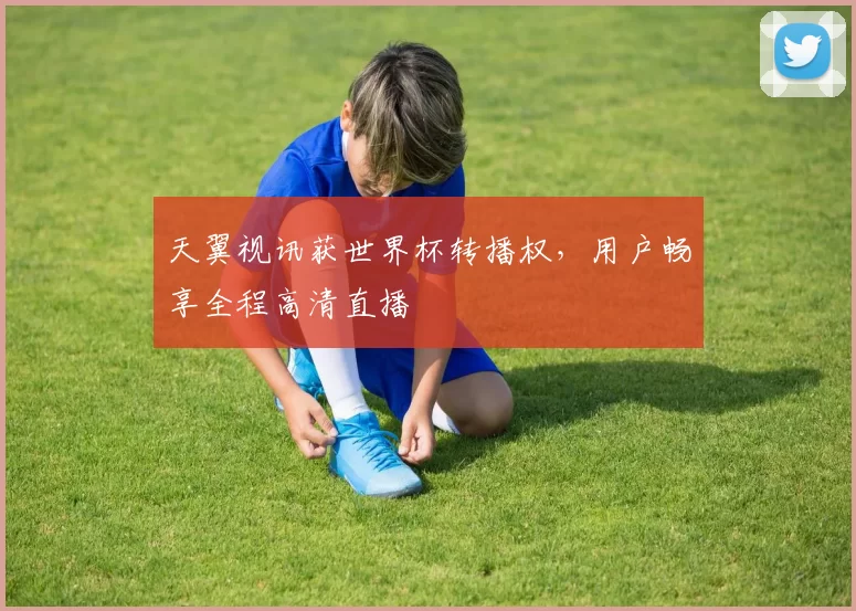 天翼视讯获世界杯转播权,用户畅享全程高清直播