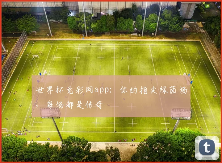 世界杯竞彩网app:你的指尖绿茵场,每场都是传奇