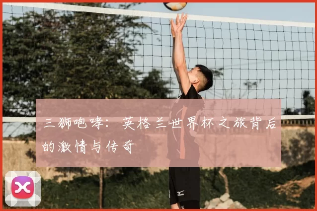 三狮咆哮:英格兰世界杯之旅背后的激情与传奇