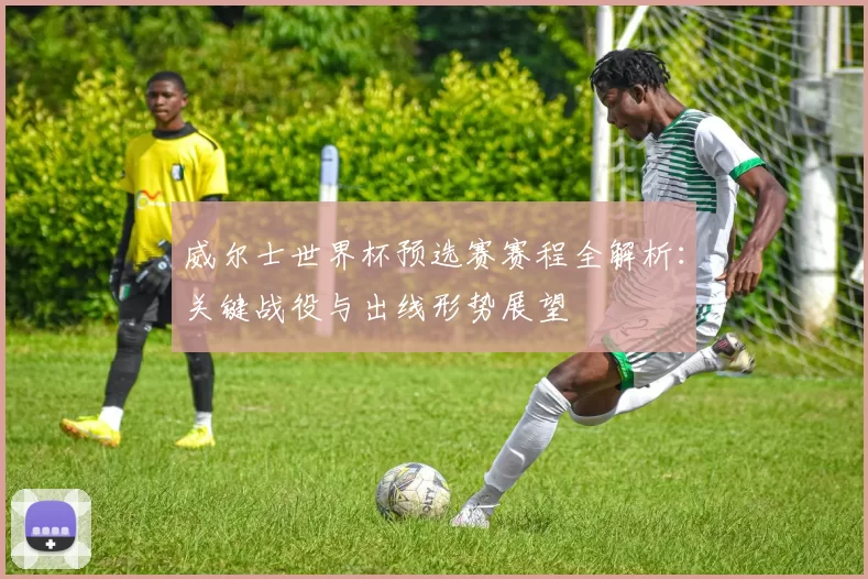 威尔士世界杯预选赛赛程全解析：关键战役与出线形势展望