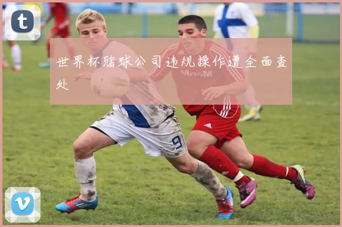 世界杯赌球公司违规操作遭全面查处