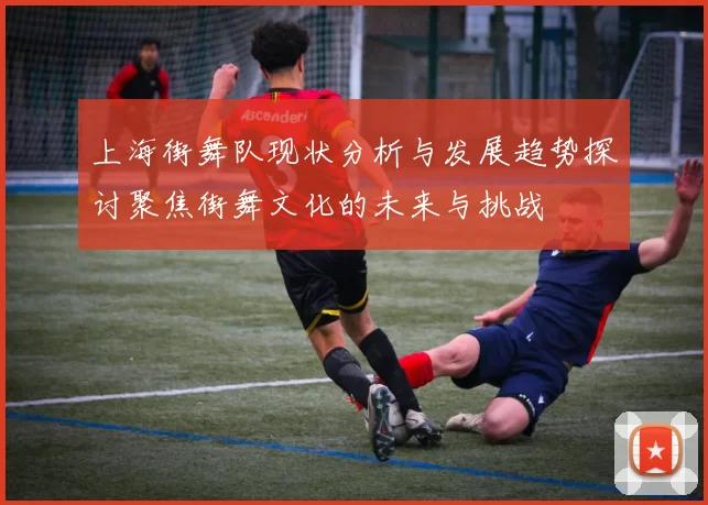 上海街舞队现状分析与发展趋势探讨聚焦街舞文化的未来与挑战