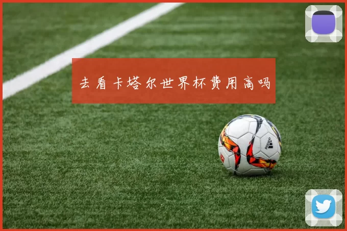 去看卡塔尔世界杯费用高吗
