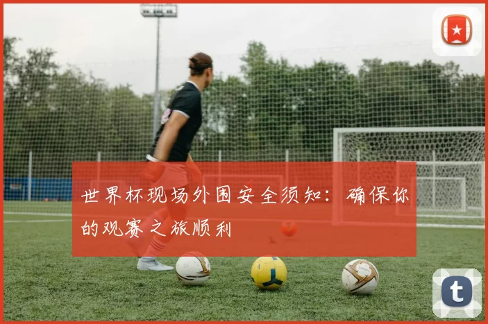 世界杯现场外围安全须知：确保你的观赛之旅顺利