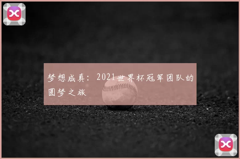 梦想成真：2021世界杯冠军团队的圆梦之旅
