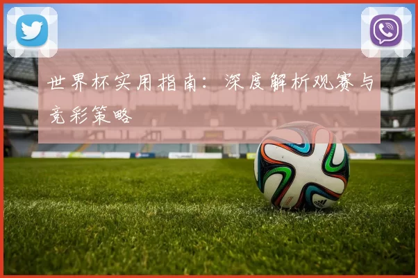 世界杯实用指南：深度解析观赛与竞彩策略