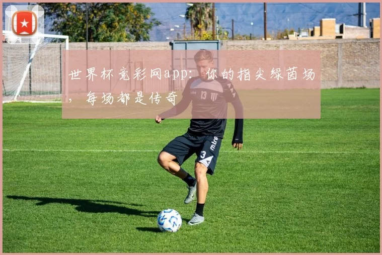 世界杯竞彩网app：你的指尖绿茵场，每场都是传奇