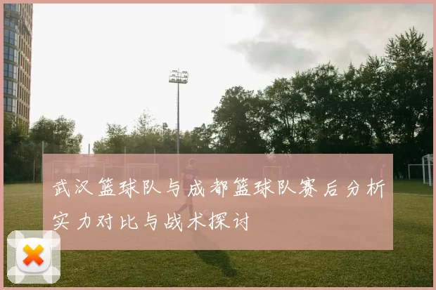武汉篮球队与成都篮球队赛后分析实力对比与战术探讨